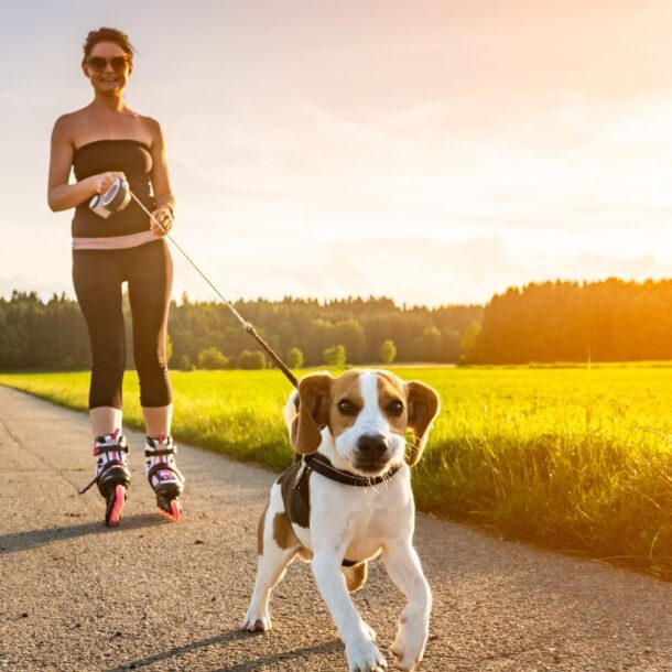 Why Your Dog Needs a Fitness Tracker