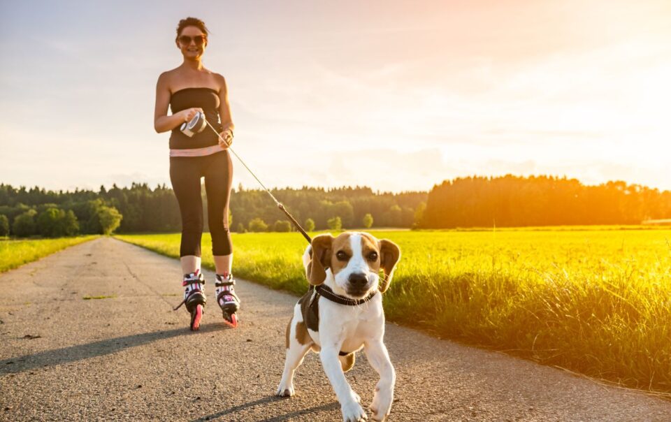 Why Your Dog Needs a Fitness Tracker