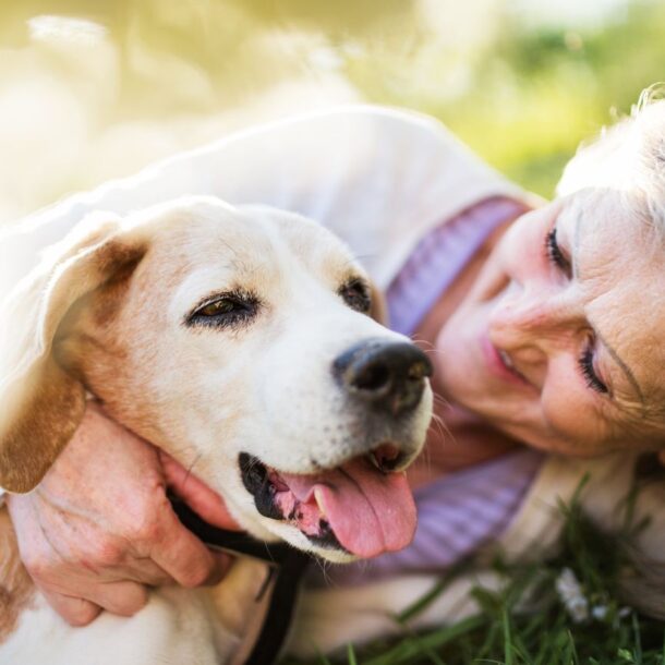 Growing older is Better with a PET!