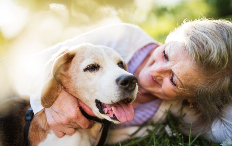 Growing older is Better with a PET!